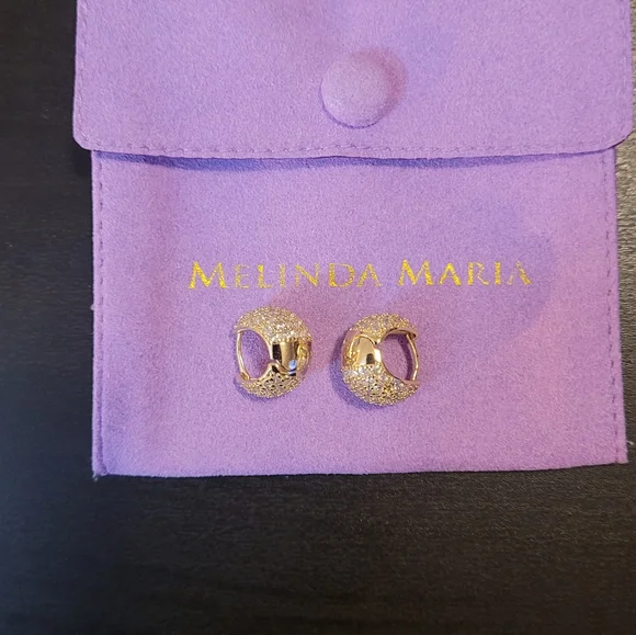 Pave Earrings in Gold and White - Picture 8 of 11